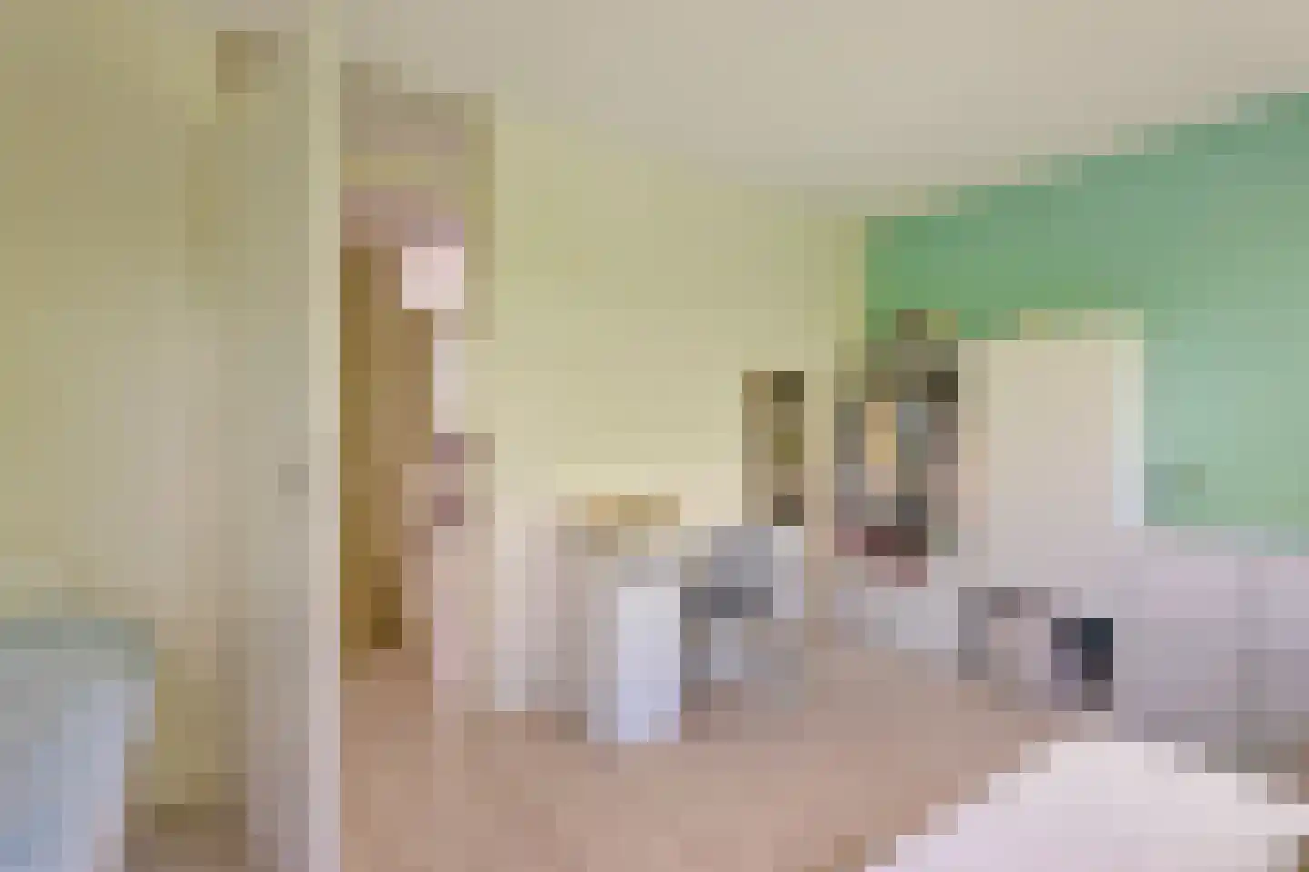 Liedekerkeplantsoen 3 Amsterdam thumbnail 13