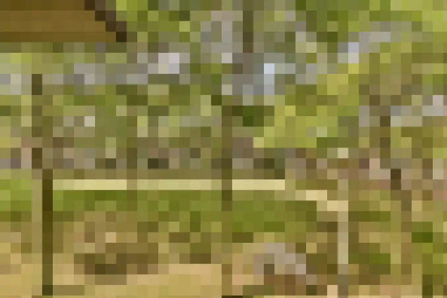 Liedekerkeplantsoen 3 Amsterdam thumbnail 17