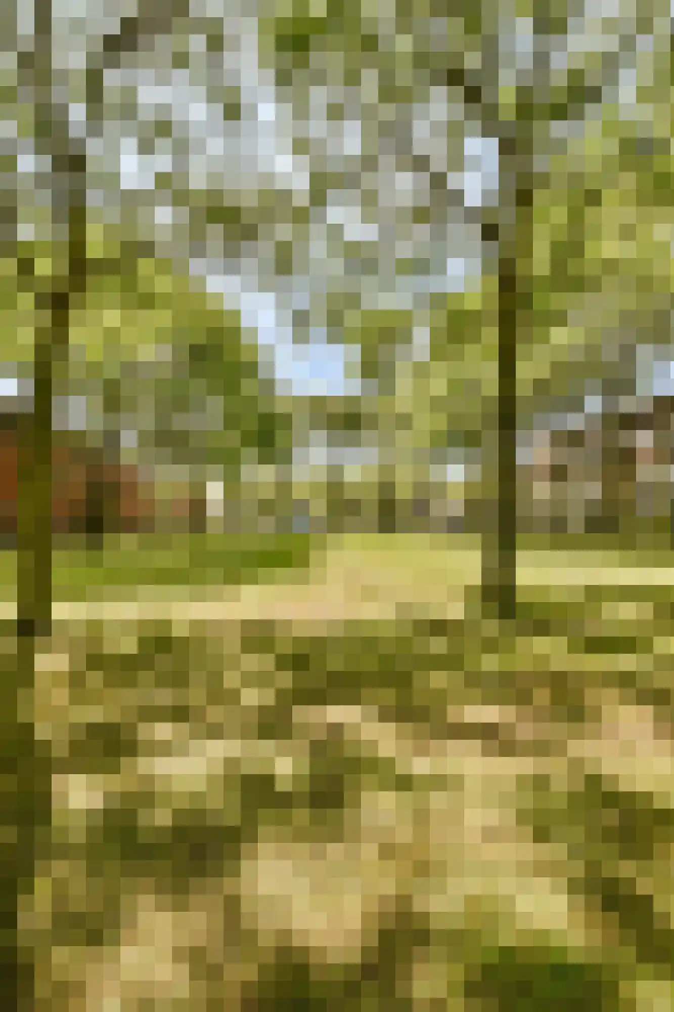 Liedekerkeplantsoen 3 Amsterdam thumbnail 18