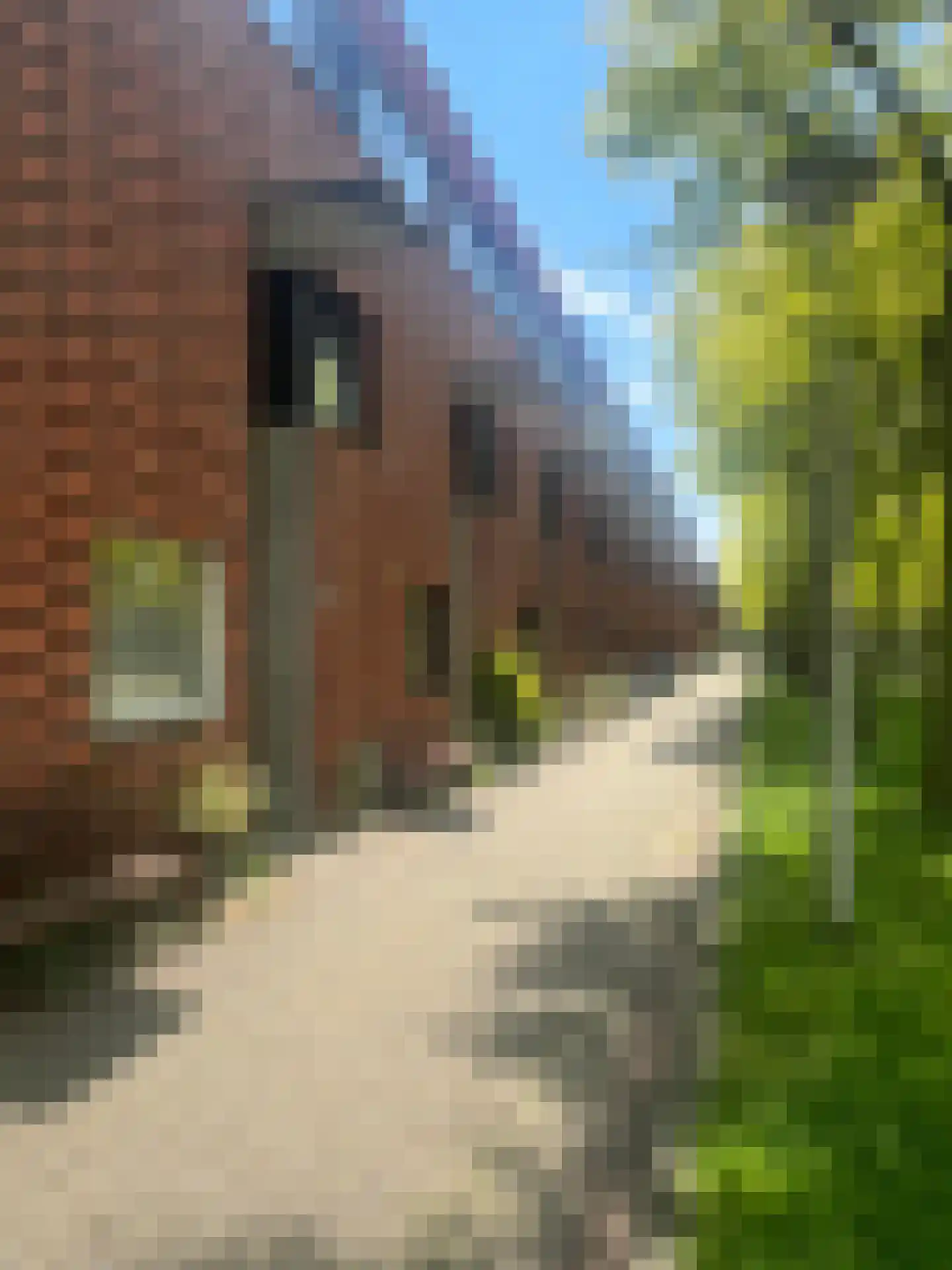 Liedekerkeplantsoen 3 Amsterdam thumbnail 20