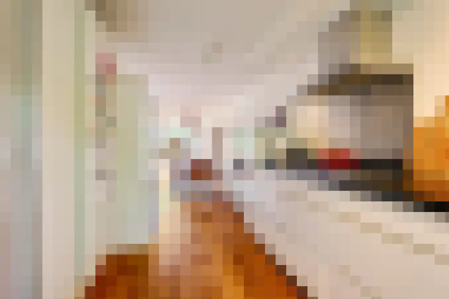 Liedekerkeplantsoen 3 Amsterdam thumbnail 4