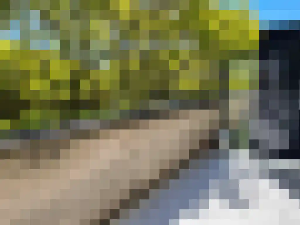 Liedekerkeplantsoen 34 Amsterdam thumbnail 4
