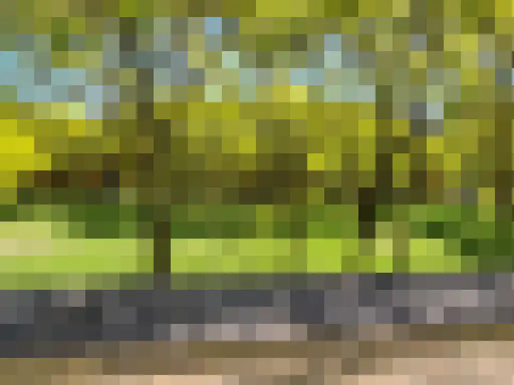 Liedekerkeplantsoen 34 Amsterdam thumbnail 5