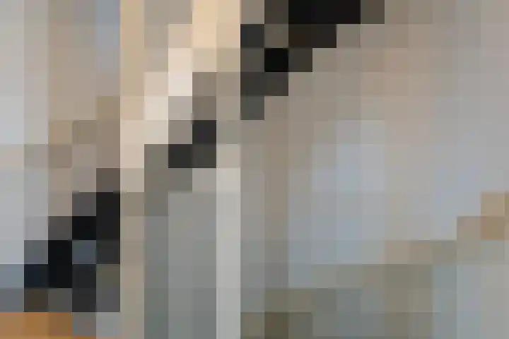 Liedekerkestraat 13 Terheijden thumbnail 10