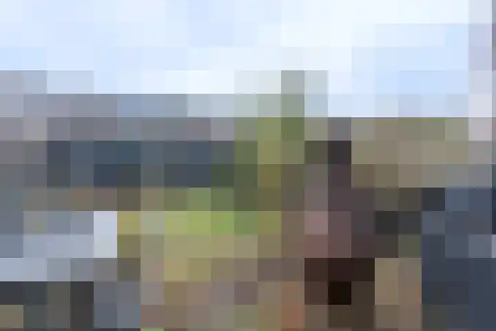 Liedekerkestraat 13 Terheijden thumbnail 24