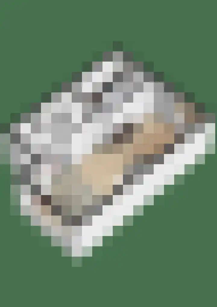 Liedekerkestraat 13 Terheijden thumbnail 33