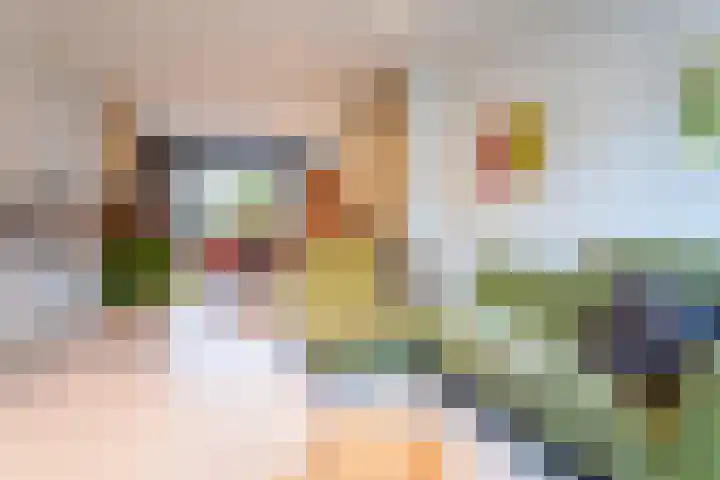 Liedekerkestraat 13 Terheijden thumbnail 4