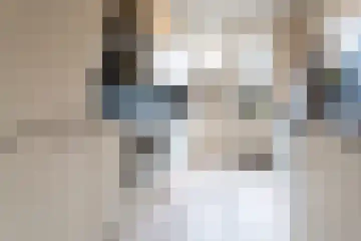 Liedekerkestraat 13 Terheijden thumbnail 5