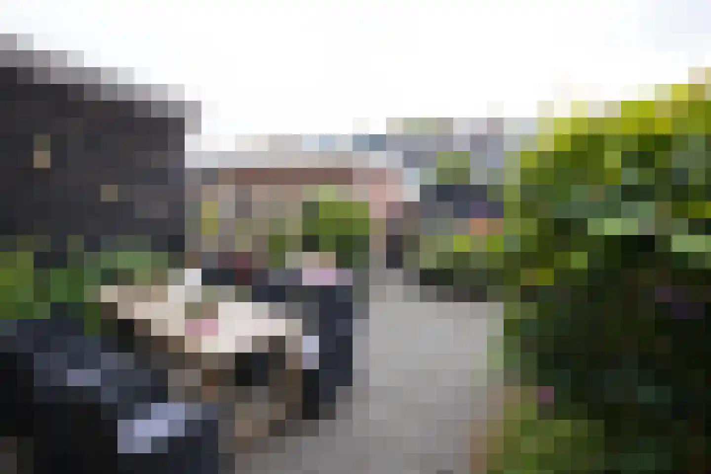 Liedekerkestraat 19 Terheijden thumbnail 16