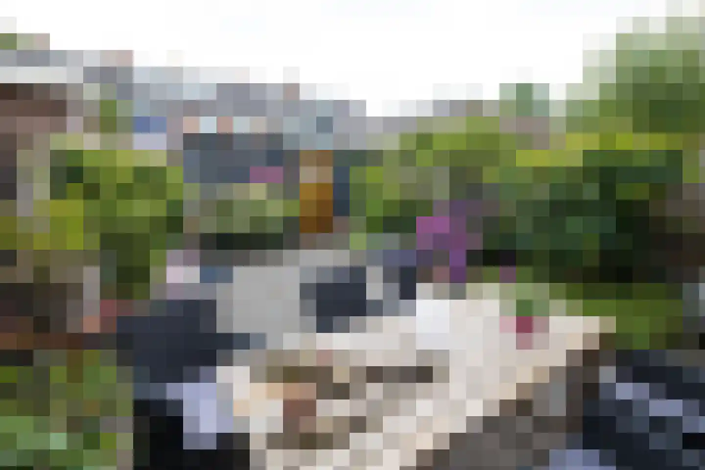 Liedekerkestraat 19 Terheijden thumbnail 17