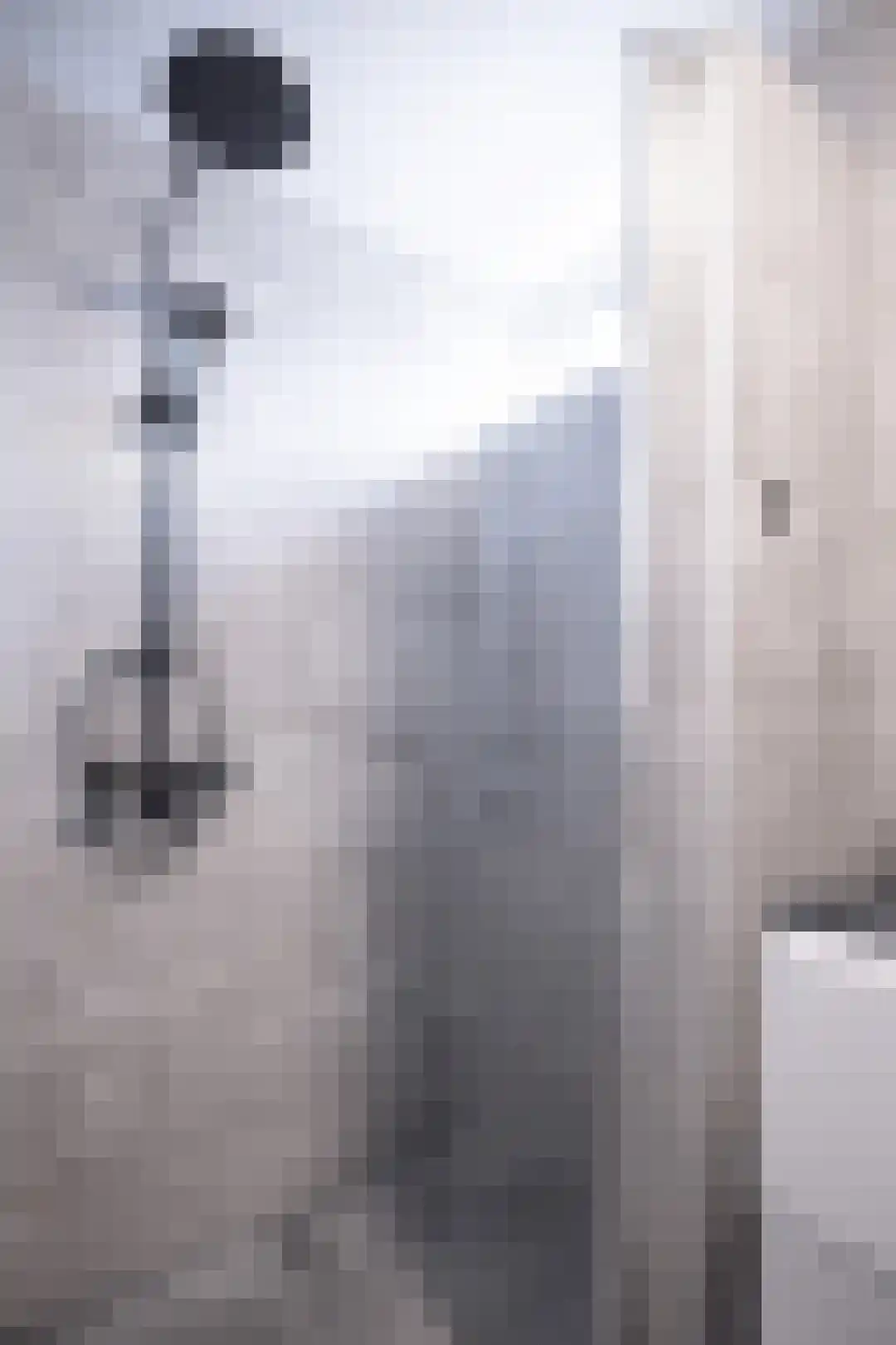 Liedekerkestraat 19 Terheijden thumbnail 32