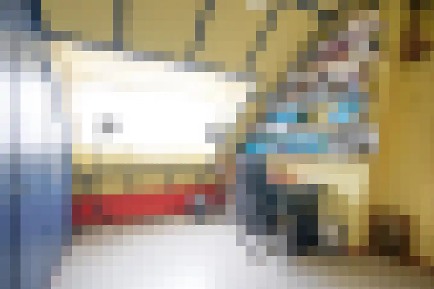 Liedekerkestraat 19 Terheijden thumbnail 35