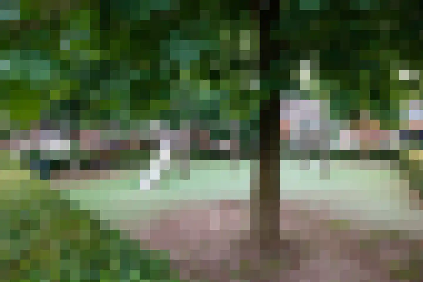 Liedekerkestraat 19 Terheijden thumbnail 40