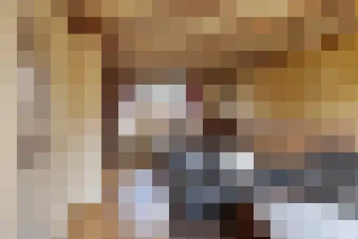 Liedekerkestraat 8 Terheijden thumbnail 11