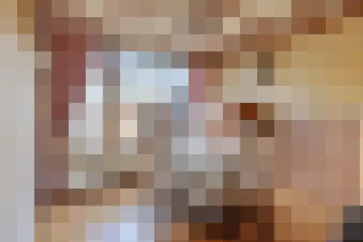 Liedekerkestraat 8 Terheijden thumbnail 12