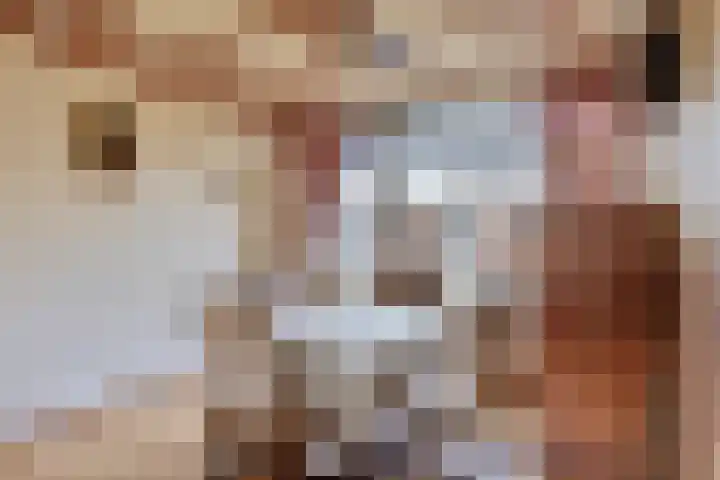Liedekerkestraat 8 Terheijden thumbnail 13