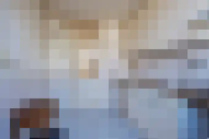 Liedekerkestraat 8 Terheijden thumbnail 14