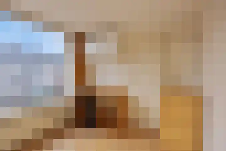 Liedekerkestraat 8 Terheijden thumbnail 22