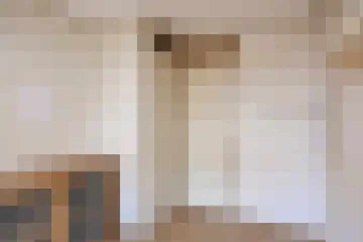 Liedekerkestraat 8 Terheijden thumbnail 24