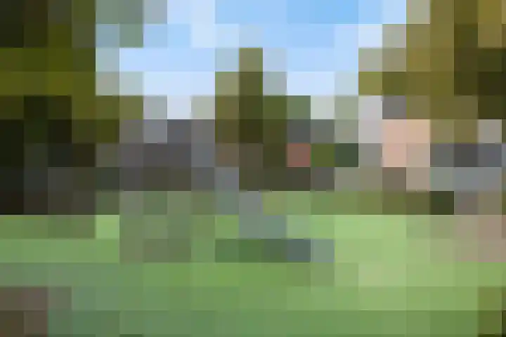 Liedekerkestraat 8 Terheijden thumbnail 33
