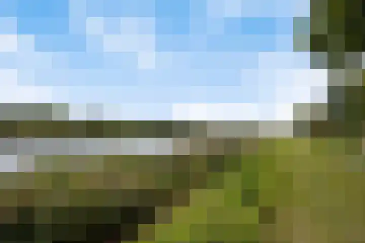 Liedekerkestraat 8 Terheijden thumbnail 34