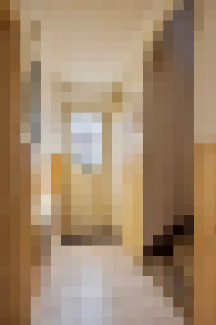 Liedekerkestraat 8 Terheijden thumbnail 7