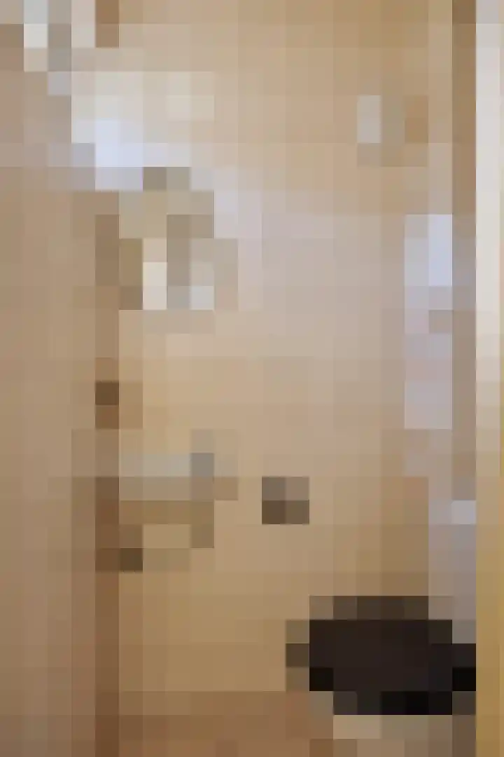 Liedekerkestraat 8 Terheijden thumbnail 9