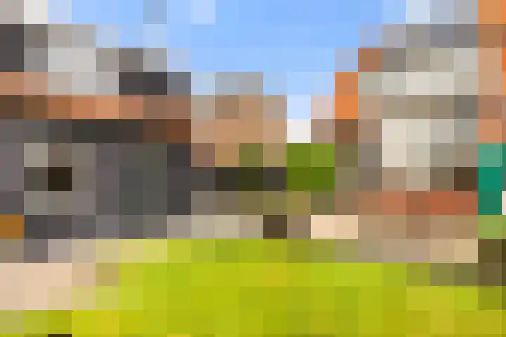 Liedeweg 47 Haarlemmerliede thumbnail 30