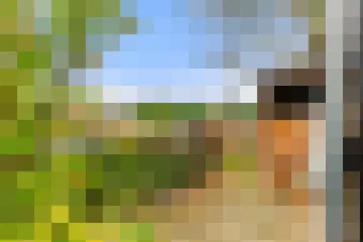 Liedeweg 47 Haarlemmerliede thumbnail 33