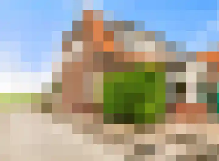 Liedeweg 47 Haarlemmerliede thumbnail 38