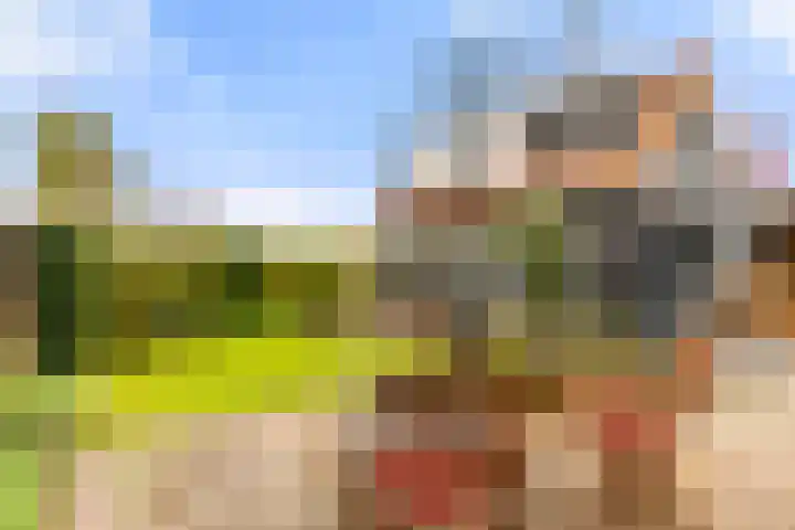 Liedeweg 47 Haarlemmerliede thumbnail 5