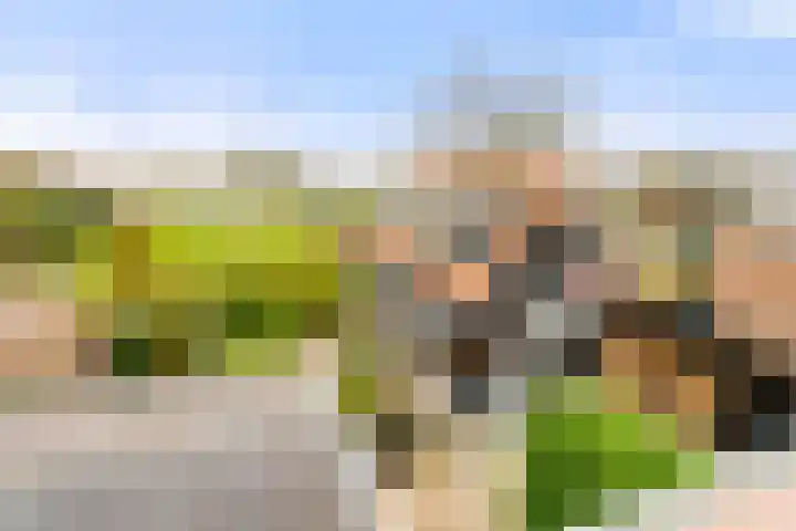 Liedeweg 47 Haarlemmerliede thumbnail 62