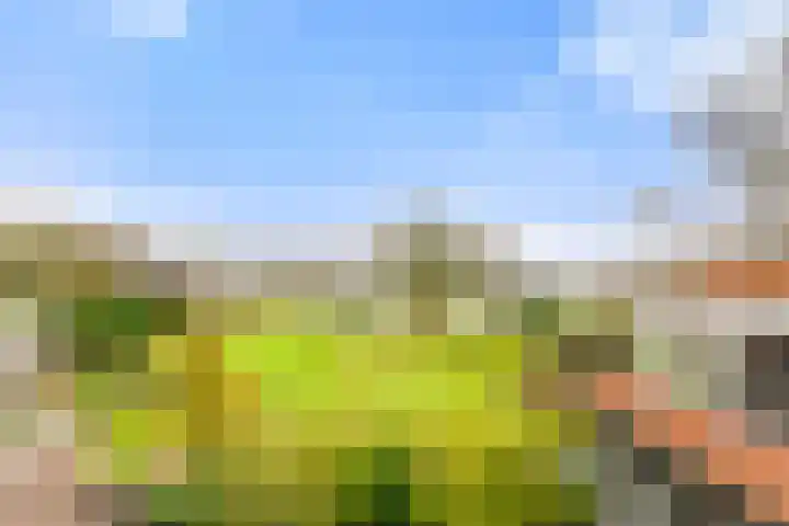Liedeweg 47 Haarlemmerliede thumbnail 63