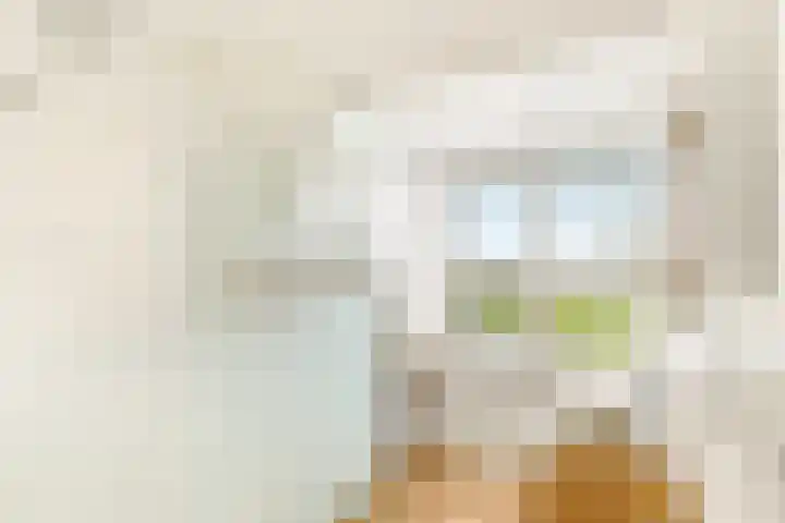 Liedeweg 47 Haarlemmerliede thumbnail 64