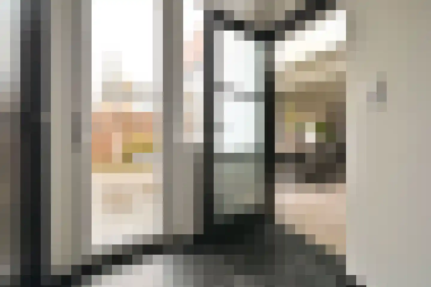 Liedtsstraat 2 Hoorn thumbnail 13