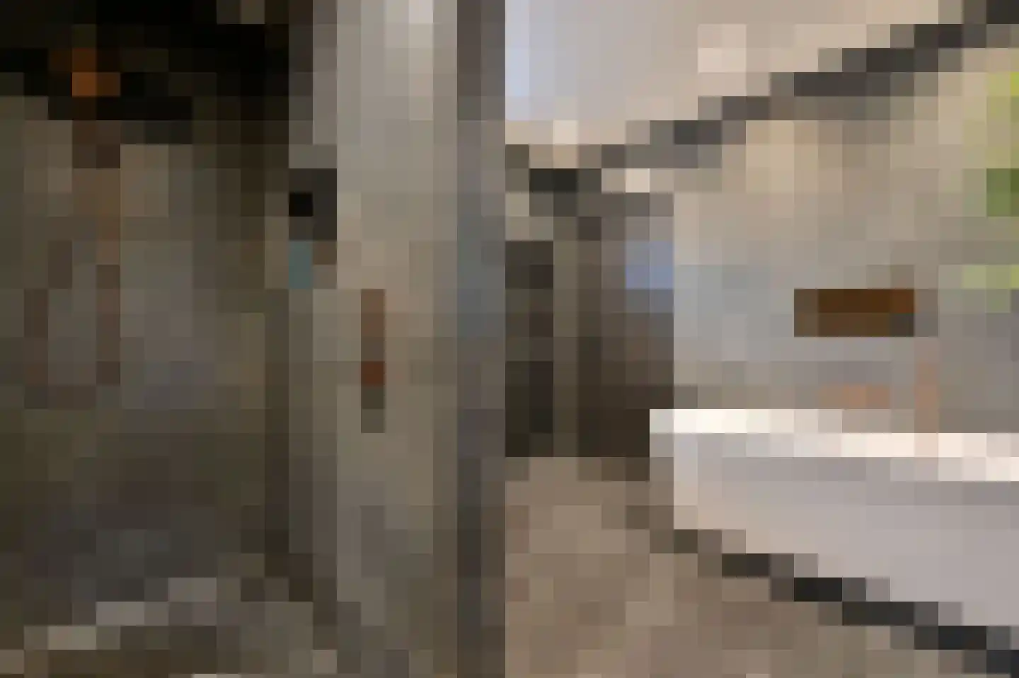 Liedtsstraat 2 Hoorn thumbnail 16