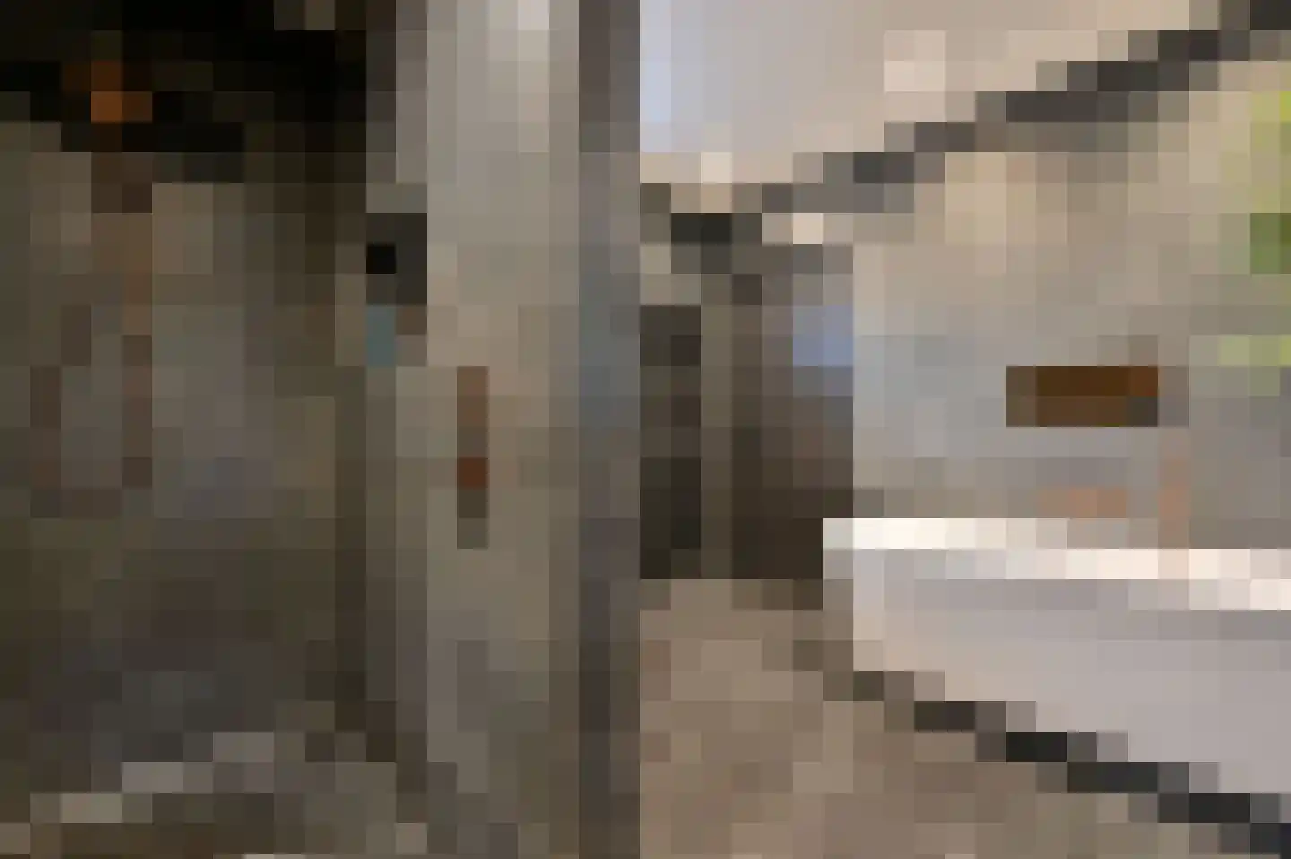 Liedtsstraat 2 Hoorn thumbnail 21