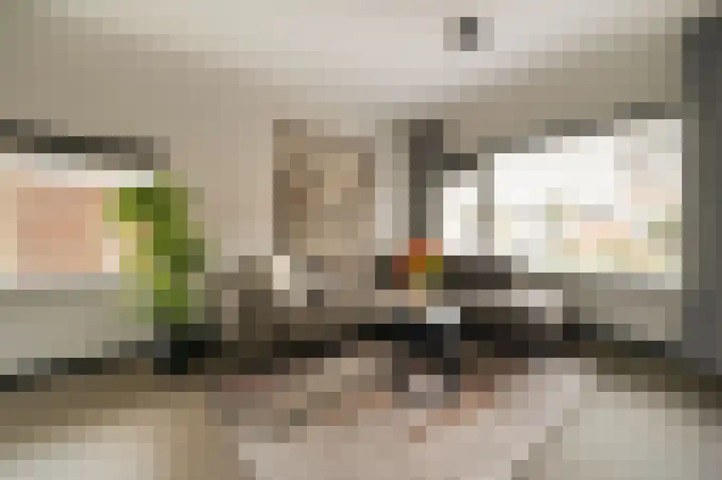 Liedtsstraat 2 Hoorn thumbnail 4