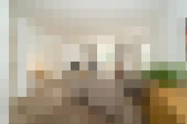 Liefhovendijk 47 Linschoten thumbnail 10