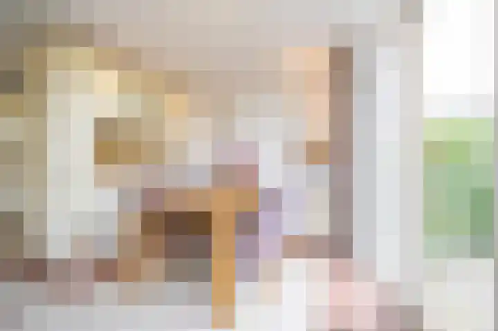 Liefhovendijk 47 Linschoten thumbnail 19