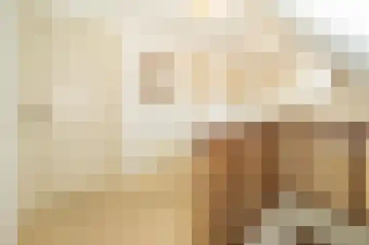 Liefhovendijk 47 Linschoten thumbnail 25