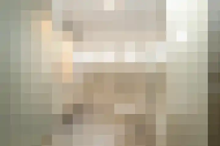 Liefhovendijk 47 Linschoten thumbnail 28