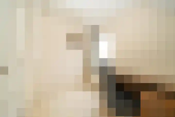 Liefhovendijk 47 Linschoten thumbnail 34