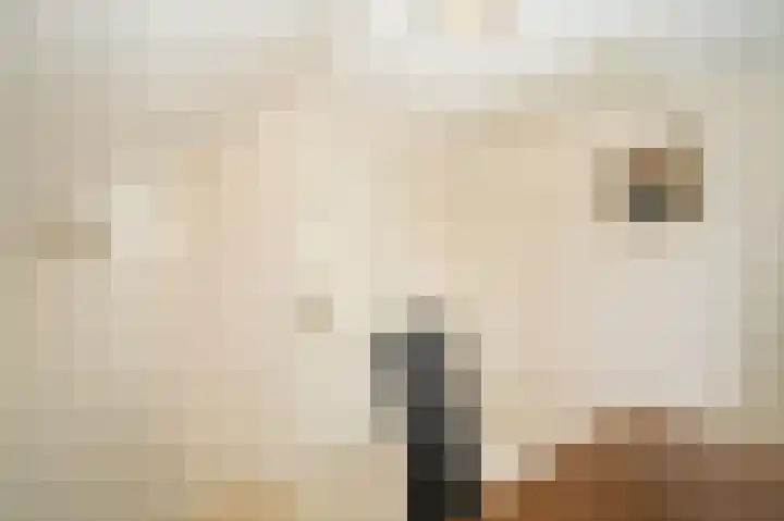 Liefhovendijk 47 Linschoten thumbnail 35