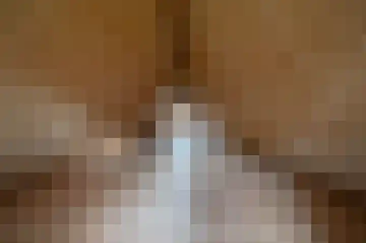 Liefhovendijk 47 Linschoten thumbnail 37