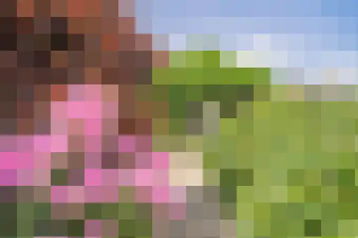 Liefhovendijk 47 Linschoten thumbnail 4