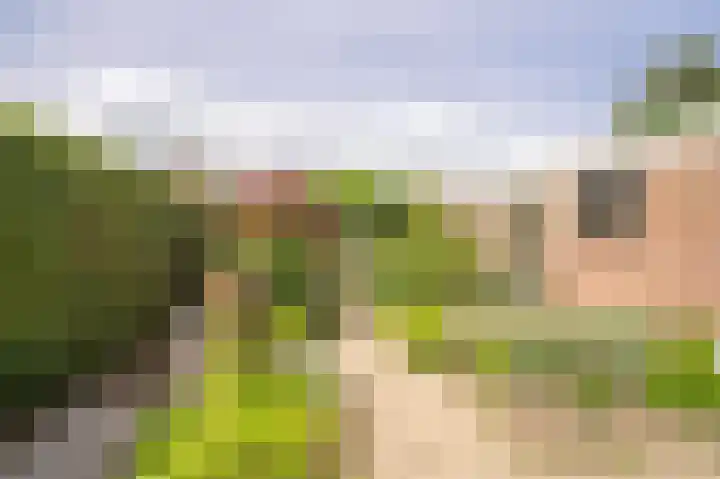 Liefhovendijk 47 Linschoten thumbnail 40
