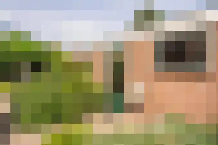 Liefhovendijk 47 Linschoten thumbnail 41
