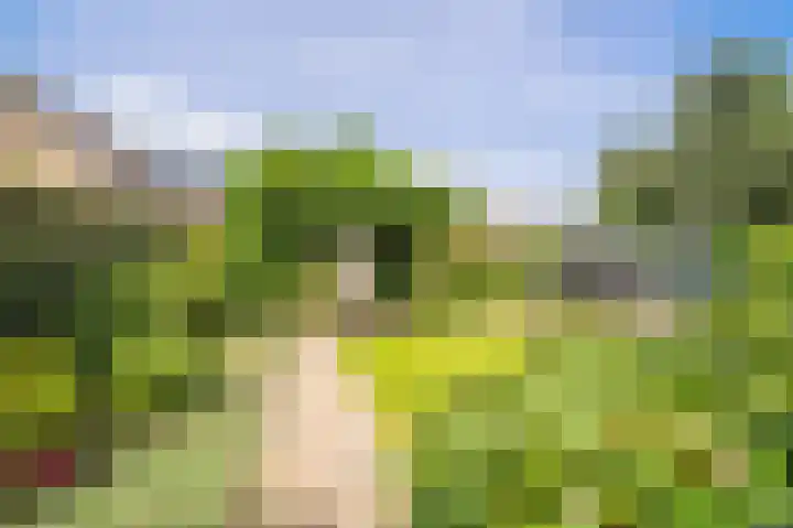Liefhovendijk 47 Linschoten thumbnail 45