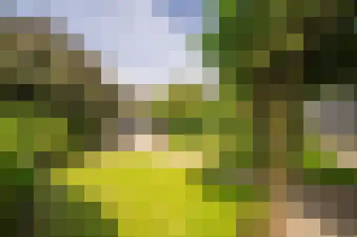 Liefhovendijk 47 Linschoten thumbnail 46